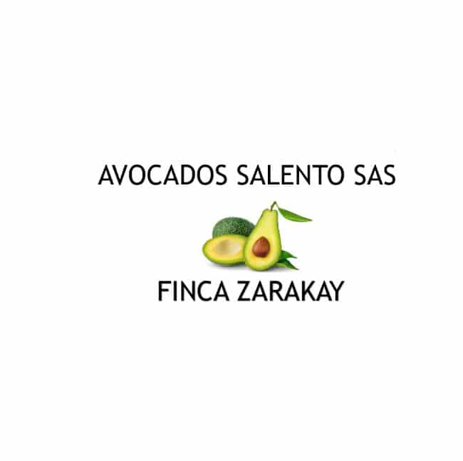 Avocados-Salento