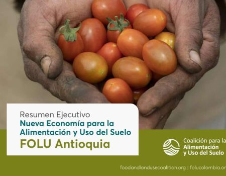 Resumen_Ejecutivo_FOLU_Antioquia-ISBN-V2-1-pdf-1024x724